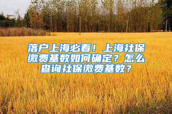 落戶上海必看！上海社保繳費基數(shù)如何確定？怎么查詢社保繳費基數(shù)？