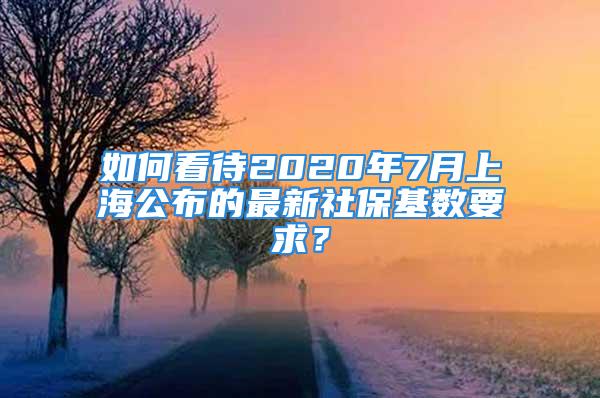 如何看待2020年7月上海公布的最新社?；鶖?shù)要求？