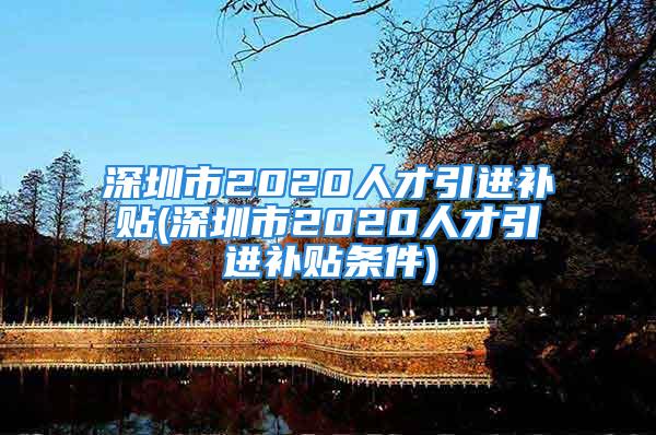 深圳市2020人才引進補貼(深圳市2020人才引進補貼條件)