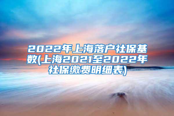 2022年上海落戶社?；鶖?shù)(上海2021至2022年社保繳費(fèi)明細(xì)表)