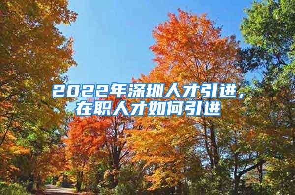 2022年深圳人才引進(jìn)，在職人才如何引進(jìn)