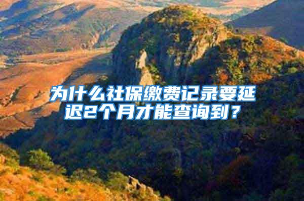 為什么社保繳費(fèi)記錄要延遲2個(gè)月才能查詢到？