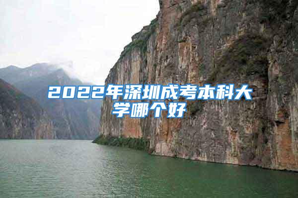 2022年深圳成考本科大學(xué)哪個(gè)好