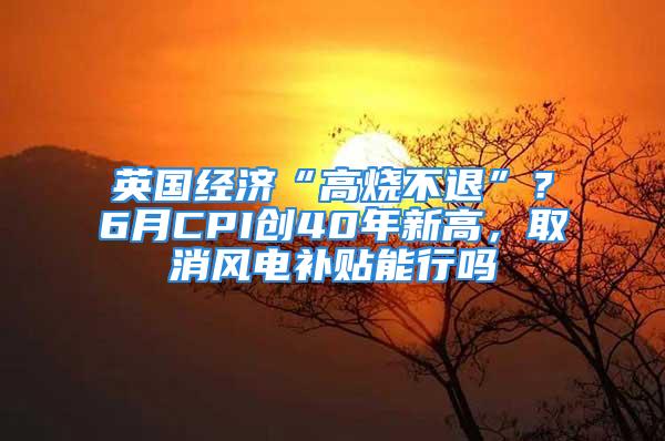 英國(guó)經(jīng)濟(jì)“高燒不退”？6月CPI創(chuàng)40年新高，取消風(fēng)電補(bǔ)貼能行嗎