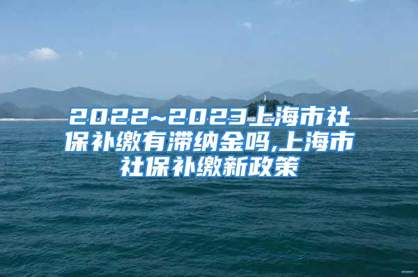 2022~2023上海市社保補(bǔ)繳有滯納金嗎,上海市社保補(bǔ)繳新政策