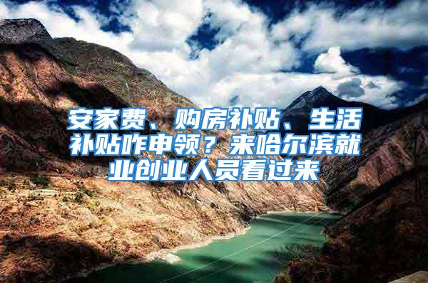 安家費、購房補貼、生活補貼咋申領？來哈爾濱就業(yè)創(chuàng)業(yè)人員看過來