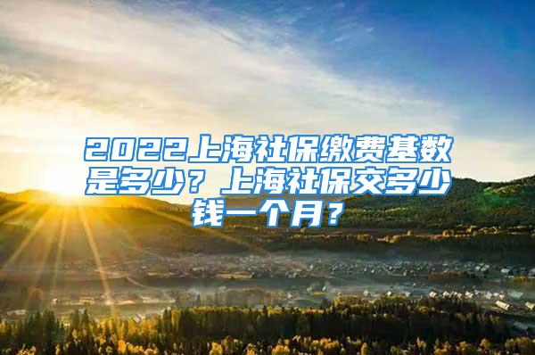 2022上海社保繳費基數(shù)是多少？上海社保交多少錢一個月？