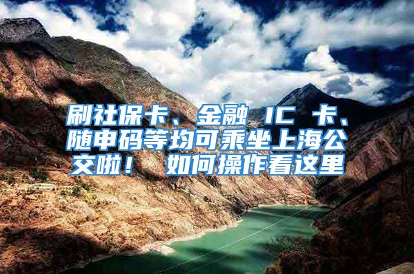 刷社?？ā⒔鹑?IC 卡、隨申碼等均可乘坐上海公交啦！ 如何操作看這里