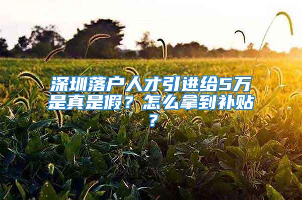 深圳落戶人才引進(jìn)給5萬是真是假？怎么拿到補(bǔ)貼？