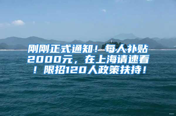 剛剛正式通知！每人補貼2000元，在上海請速看！限招120人政策扶持！