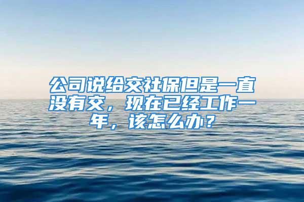 公司說(shuō)給交社保但是一直沒(méi)有交，現(xiàn)在已經(jīng)工作一年，該怎么辦？