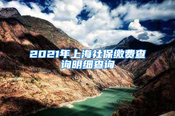 2021年上海社保繳費(fèi)查詢(xún)明細(xì)查詢(xún)