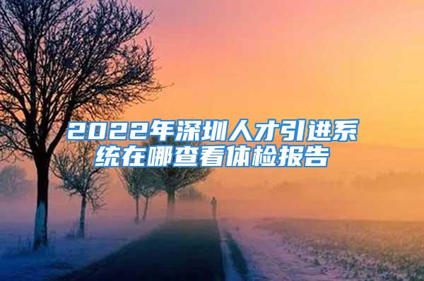 2022年深圳人才引進(jìn)系統(tǒng)在哪查看體檢報(bào)告