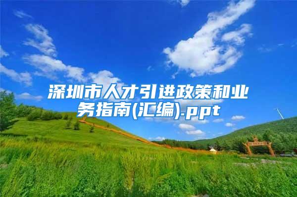 深圳市人才引進(jìn)政策和業(yè)務(wù)指南(匯編).ppt