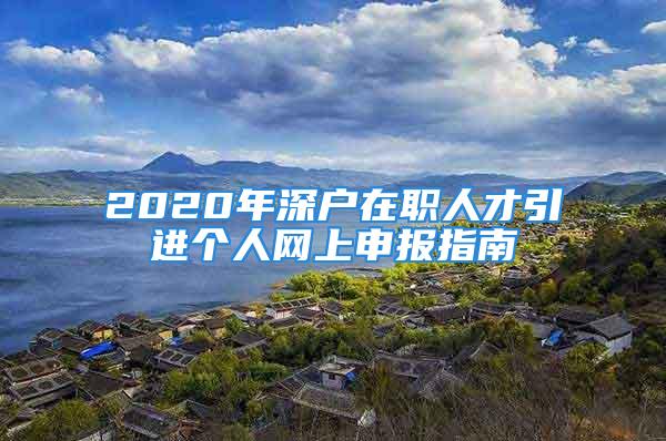 2020年深戶在職人才引進個人網(wǎng)上申報指南