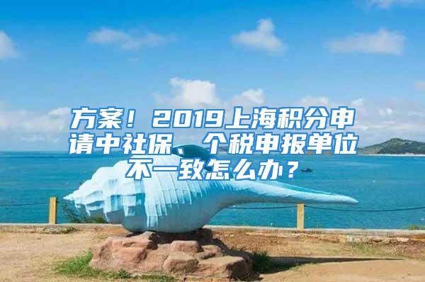 方案！2019上海積分申請(qǐng)中社保、個(gè)稅申報(bào)單位不一致怎么辦？