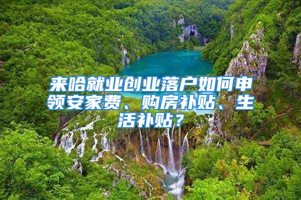 來哈就業(yè)創(chuàng)業(yè)落戶如何申領安家費、購房補貼、生活補貼？