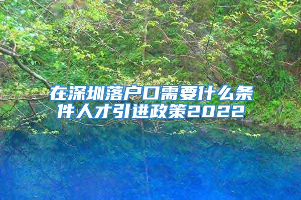 在深圳落戶口需要什么條件人才引進(jìn)政策2022