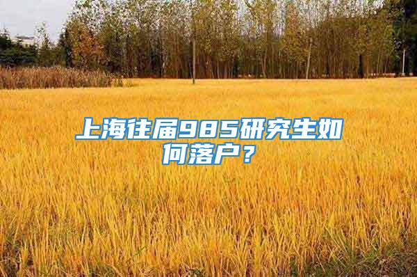 上海往屆985研究生如何落戶？