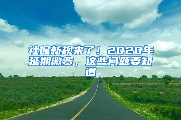 社保新規(guī)來了！2020年延期繳費(fèi)，這些問題要知道