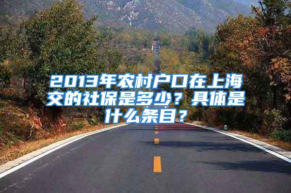 2013年農(nóng)村戶口在上海交的社保是多少？具體是什么條目？