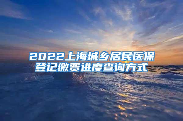 2022上海城鄉(xiāng)居民醫(yī)保登記繳費(fèi)進(jìn)度查詢方式