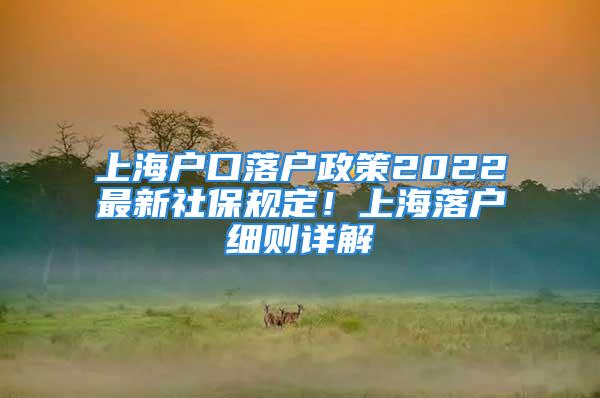 上海戶口落戶政策2022最新社保規(guī)定！上海落戶細(xì)則詳解