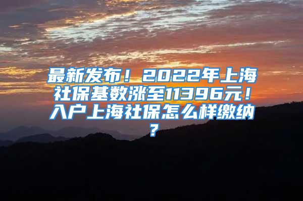 最新發(fā)布！2022年上海社?；鶖?shù)漲至11396元！入戶上海社保怎么樣繳納？