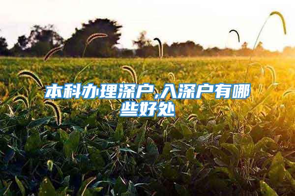 本科辦理深戶,入深戶有哪些好處