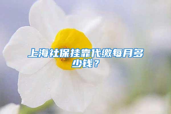 上海社保掛靠代繳每月多少錢？