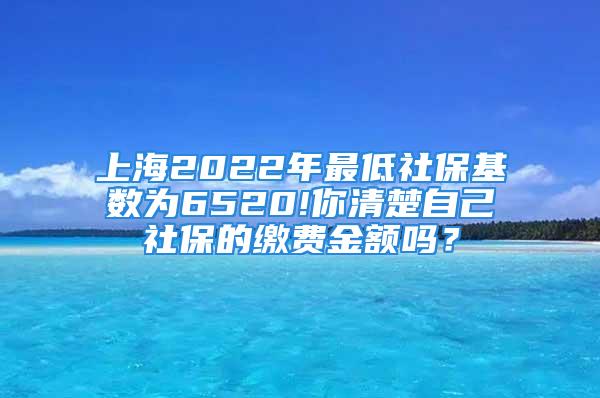 上海2022年最低社保基數(shù)為6520!你清楚自己社保的繳費(fèi)金額嗎？