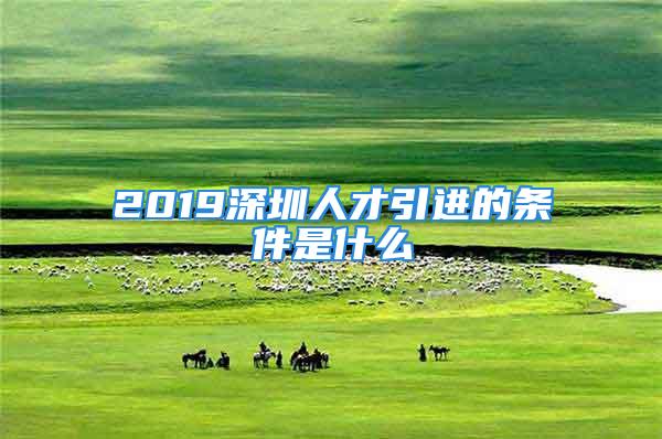 2019深圳人才引進的條件是什么