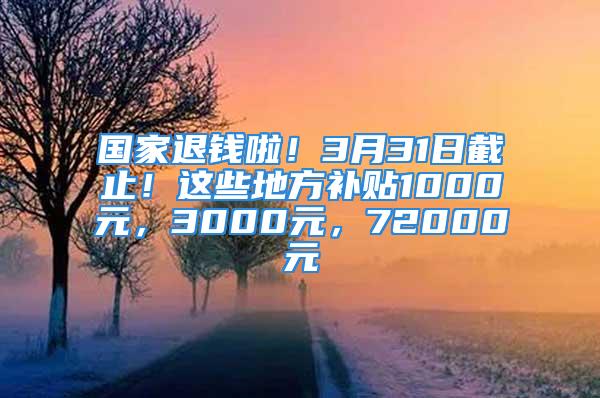 國家退錢啦！3月31日截止！這些地方補貼1000元，3000元，72000元