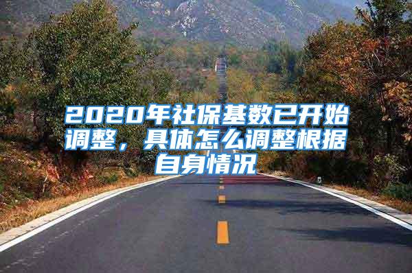 2020年社?；鶖?shù)已開始調(diào)整，具體怎么調(diào)整根據(jù)自身情況