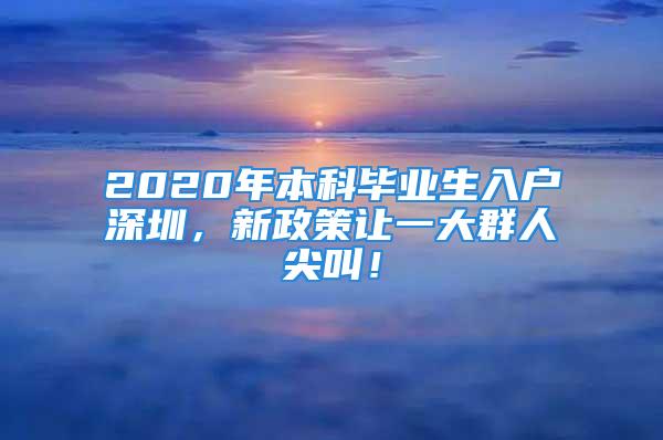 2020年本科畢業(yè)生入戶深圳，新政策讓一大群人尖叫！