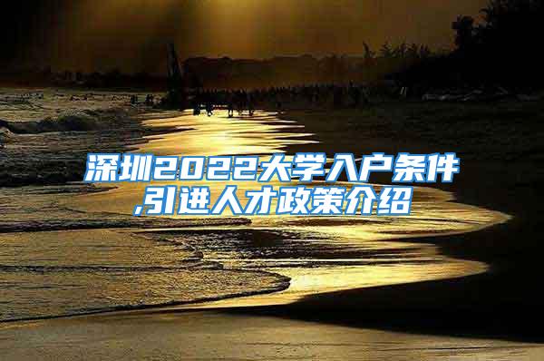 深圳2022大學(xué)入戶條件,引進人才政策介紹