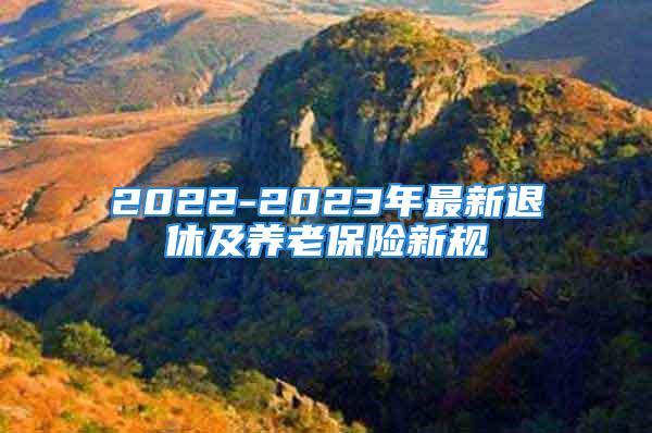 2022-2023年最新退休及養(yǎng)老保險(xiǎn)新規(guī)