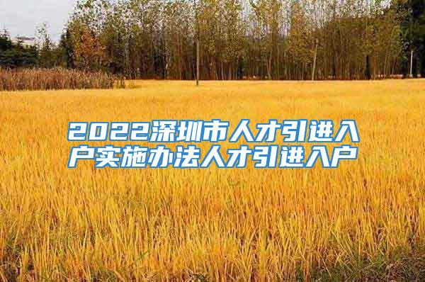 2022深圳市人才引進入戶實施辦法人才引進入戶