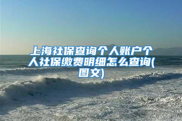 上海社保查詢個人賬戶個人社保繳費明細怎么查詢(圖文)