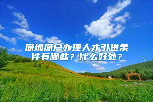 深圳深戶辦理人才引進條件有哪些？什么好處？