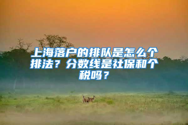 上海落戶的排隊是怎么個排法？分數(shù)線是社保和個稅嗎？