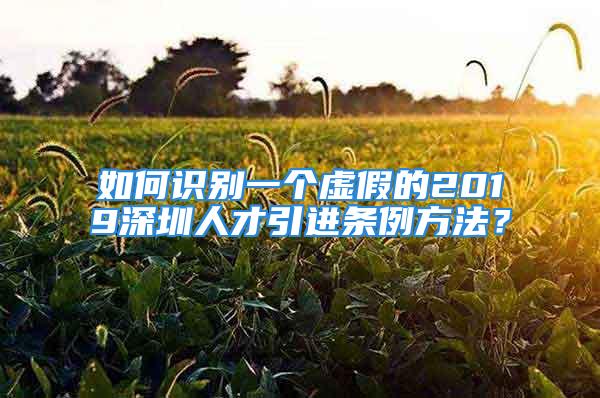 如何識別一個虛假的2019深圳人才引進條例方法？