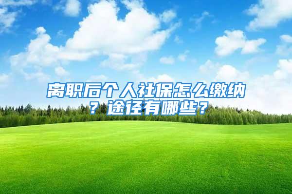 離職后個(gè)人社保怎么繳納？途徑有哪些？