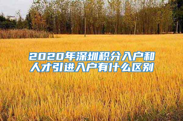 2020年深圳積分入戶和人才引進入戶有什么區(qū)別