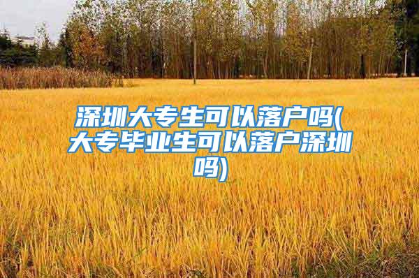 深圳大專生可以落戶嗎(大專畢業(yè)生可以落戶深圳嗎)