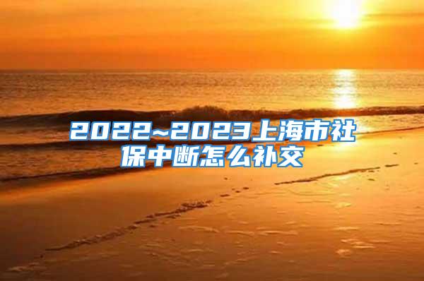 2022~2023上海市社保中斷怎么補交