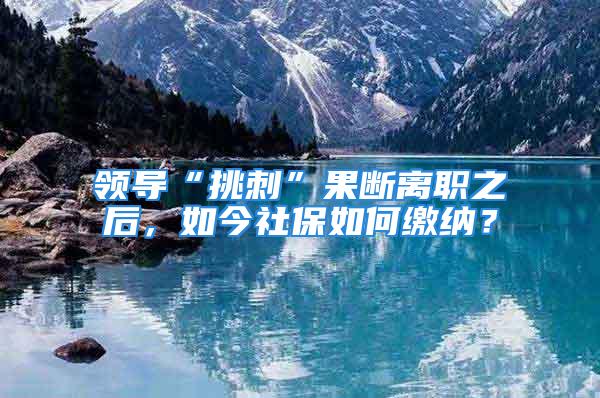 領(lǐng)導(dǎo)“挑刺”果斷離職之后，如今社保如何繳納？