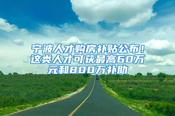 寧波人才購房補(bǔ)貼公布！這類人才可獲最高60萬元和800萬補(bǔ)助