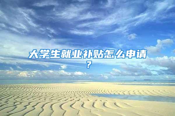 大學生就業(yè)補貼怎么申請？