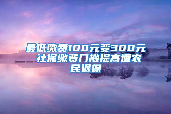 最低繳費100元變300元 社保繳費門檻提高遭農民退保